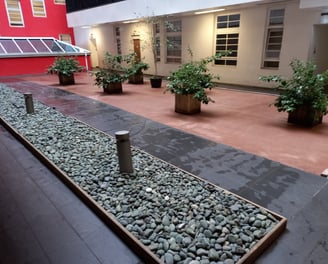 a courtyard with a lot of plants and a lot of rocks