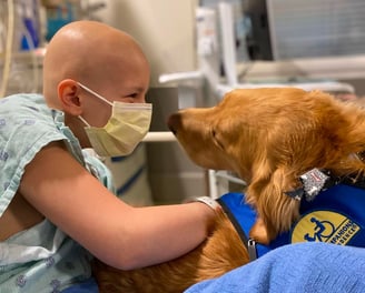 A girl in the hospital with a dog by her side