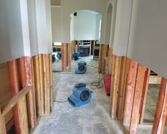 Residential Drying and Water Remediation