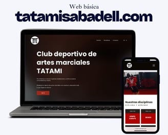 web basica sabadell