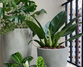 paisagismo interiores