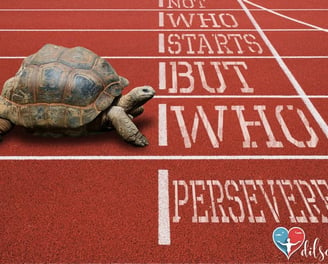 not-who-starts-but-who-perseveres-motivational-quotes-dilsebatein-11