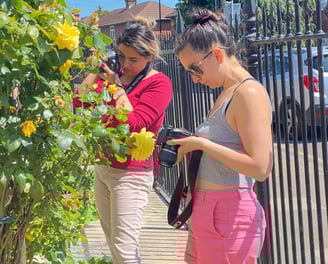 Photographers - Community Workshop