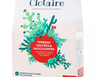 terreau pour cactus