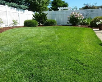 a backyard with a white fenced in lawn area