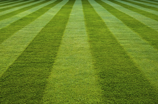 a baseball field with a baseball player in the middle of the field