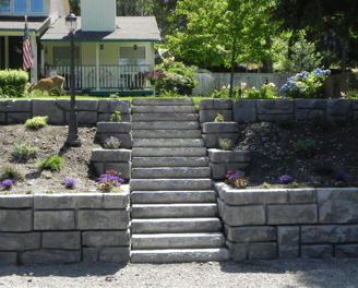 a dog is walking up a stone wall