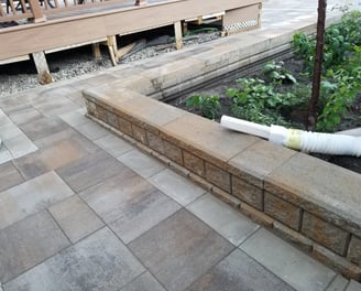 a garden with a hose and a hose in the foreground