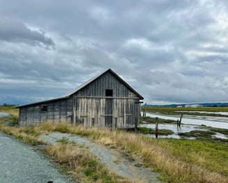A weathered, wooden barn-like structure overlooking a tidal slough.