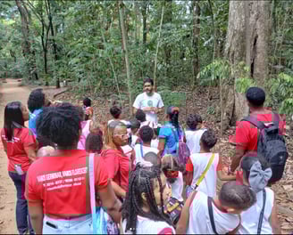 visita pedagógica educação infantil