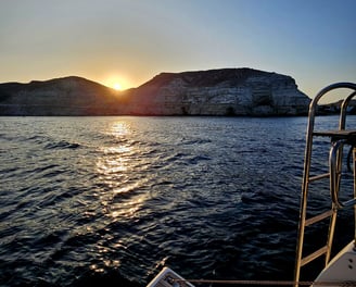 Boar trips Almeria