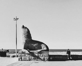 Mar del Plata