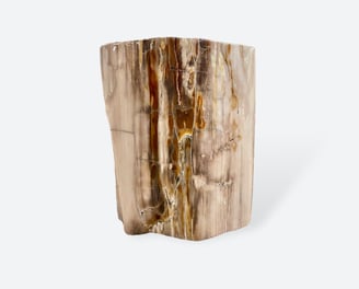 Petrified Wood Side Table