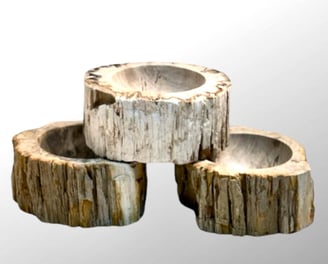 Petrified Wood bowls as Catchalls or Vide Poche