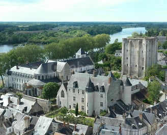 beaugency a large building with a tower in the middle of it
