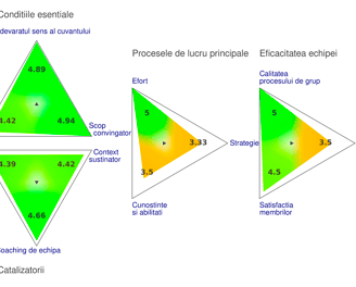 team coaching de echipa bragadireanu