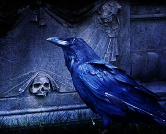 a black bird sitting on a grave stone grave