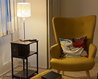 fauteuil du cabinet chaleureux à Paris