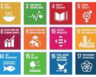 Sustainable Development Goals by United Nations SDGs TreeAndHumanKnot Reinventing Sustainability