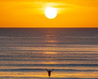 a person standing on a beach with a bird flying in the air