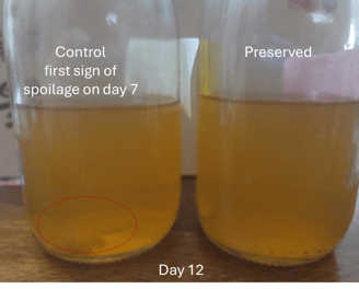 tea preserved by cultured dextrose