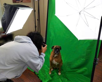 a woman taking a picture of a dog in a studio