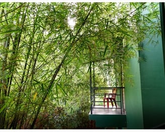 Bamboo House Vythiri