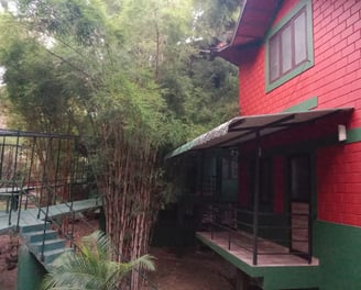 Bamboo Planet