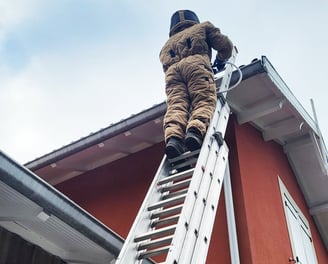 destruction nids de guêpes et frelons sous un toit