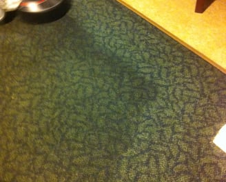 Commercial Carpet Cleaning in Daytona Beach, Florida