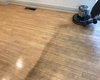 Floor Cleaning in Ormond Beach, Florida