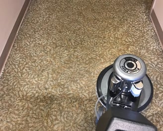 Commercial Carpet Cleaning in Ormond Beach, Florida