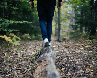 Someone balancing on a log in a forest