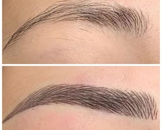 Skindent's Rejuvenate Eyebrows Microblading Services
