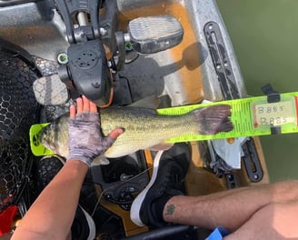 a person holding a fish in a boat
