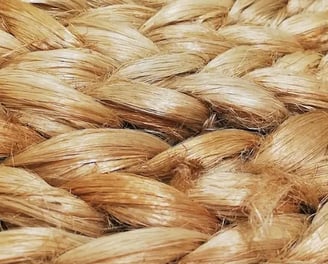 SthayiVastra Organic textile industry Next Startup by RisingIndia