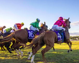 Horses race away from the starting gates
