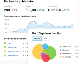 analyse seo