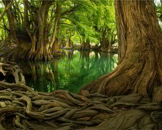 tour a lago de camecuaro