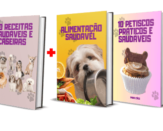 a series of three books with a dog and a cat