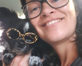 canil de chihuahua