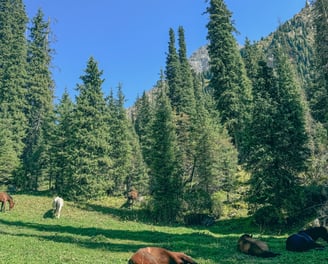 Ala Kul Trek