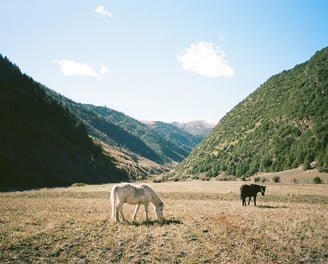 Dzongsar Valley