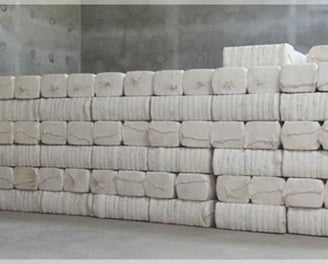 cotton