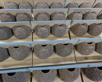 Double nest cups mass production by Nest Cup Box