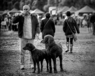 Man with 2 poodles