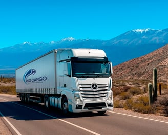 Camión de Pro Cargo cruzando la ruta en provincia de Salta, Argentina.