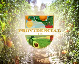 frutas y vegatles de fondo, en el centro el logo de providencial.