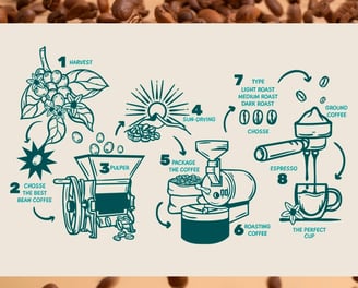 Illustrated process of Colombian coffee from planting to brewing in a cup