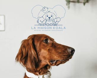 Logo principal pour La Maison Koala